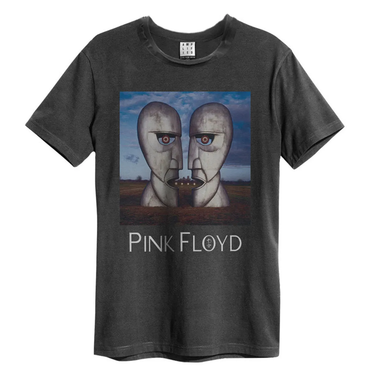 Amplified Unisex Adult The Division Bell Pink Floyd T-Shirt